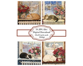 Kitten Sleeping on Christmas Windowsill JPG Clipart Bundle- Digital Download