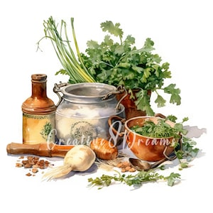 Pacote de clipart de ervas culinárias - 10 JPGs em aquarela de alta qualidade - Arte de cozinha, artesanato, diário, scrapbooking, download digital