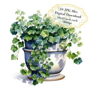 May include: A watercolour painting of a potted plant with green leaves in a blue and white planter. The plant is overflowing from the pot and has a shadow on the white background.