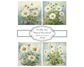 Shabby Chic Daisies on Aged Paper JPG Clipart Bundle- Digital Download