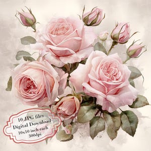 Shabby chique roze rozen verouderd papier clipart bundel-10 hoge kwaliteit aquarel jpgs-craft, journaling, scrapbook levering, digitale download
