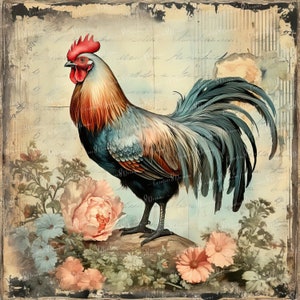 Shabby Chic Rooster in Flower Garden Clipart Bundle- 10 High Quality ...
