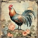 Shabby Chic Rooster in Flower Garden Clipart Bundle- 10 High Quality ...