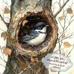 Petit oiseau noir et blanc dans un nid d'arbres Clipart Bundle - 10 fichiers JPG aquarelles de haute qualité - créations artisanales, journalisation, scrapbooking, téléchargement numérique