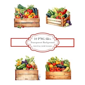 Pacchetto di clipart PNG di verdure fresche dal mercato degli agricoltori - Download digitale