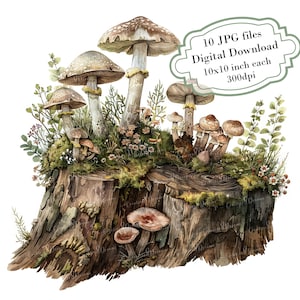 Pilze und Moos auf einem Baumstumpf Clipart Bundle - 10 hochwertige Aquarell JPGs - Wald, Journaling, Scrapbook Versorgung, digitaler Download