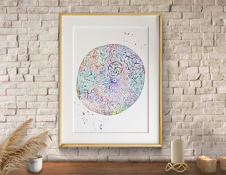 Multicellular Eukaryotic Animal Cells Microbiology Poster - Etsy