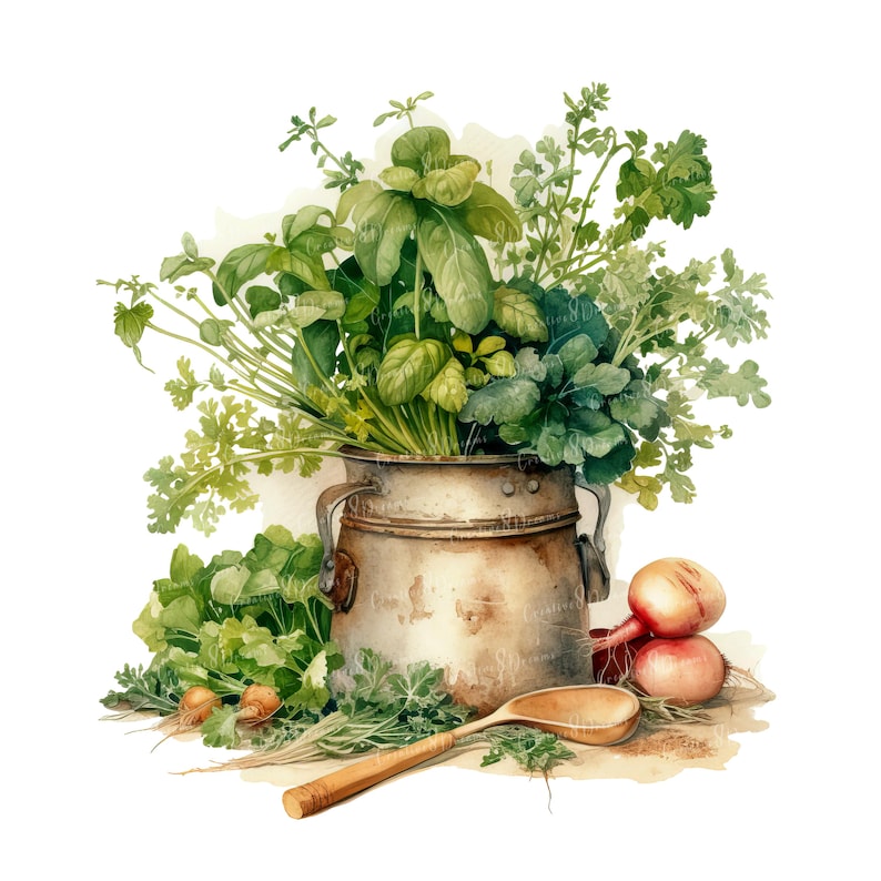 Herbes de cuisine rustiques PNG Clipart Bundle - téléchargement numérique image 9