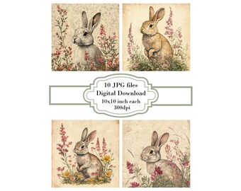 Vintage Rabbit with Botanical Flowers Aged Paper JPG Clipart Bundle- Digital Download