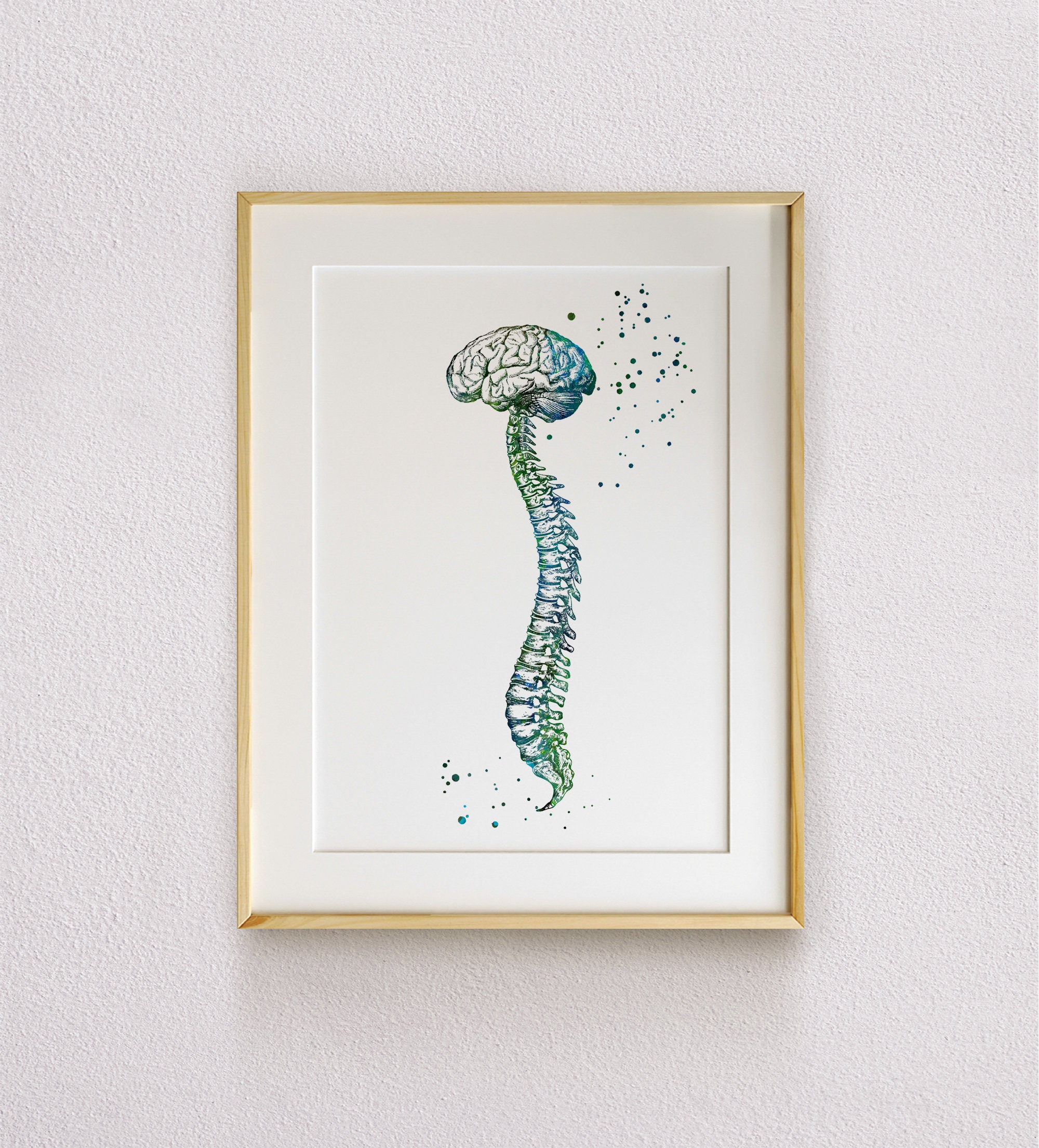 Brain With Spine Art Print Watercolor Anatomy Biology Poster - Etsy
