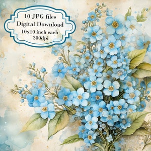 Bundle de cliparts papier vieilli shabby chic myosotis fleurs - 10 JPG aquarelles de haute qualité - journalisation, fournitures de scrapbooking, téléchargement numérique