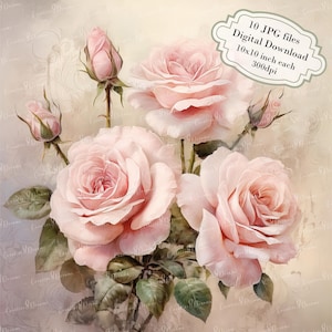 Shabby chique roze rozen verouderd papier clipart bundel-10 hoge kwaliteit aquarel jpgs-craft, journaling, scrapbook levering, digitale download