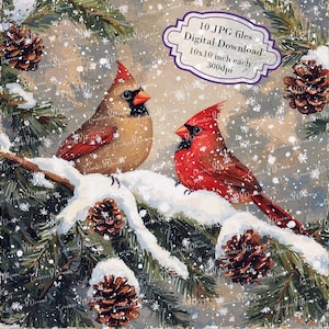 Rote Kardinäle auf schneebedeckten Kiefernzweigen Clipart Bundle - 10 hochwertige Aquarell JPGs - Winter, Journaling, Scrapbook Versorgung, digitaler Download