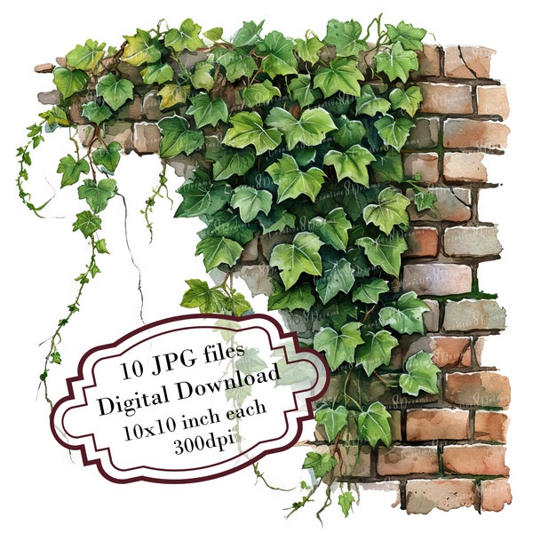 English Ivy Growing on a Brick Wall Clipart Bundle- 10 High Quality Watercolor JPGs- Craft, Journaling, Scrapbooking, Digital Download