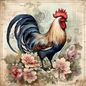 Shabby Chic Rooster Aged Paper Clipart Bundle- 10 High Quality ...