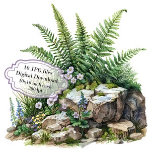 Fougère parmi les rochers Clipart Bundle-10 JPG aquarelles de haute qualité-plante, artisanat, journalisation, fourniture de scrapbooking, téléchargement numérique