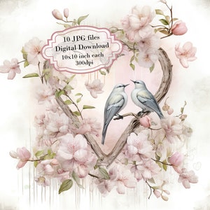 Pacote de clipart de pássaros apaixonados em formato de coração florido para o Dia dos Namorados Shabby Chic - 10 JPGs em aquarela de alta qualidade - Diário, álbum de recortes, download digital