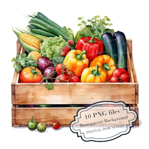 Paquete de imágenes prediseñadas de verduras frescas de un mercado de agricultores: 10 PNG de acuarela de alta calidad: manualidades, diario, scrapbooking, descarga digital