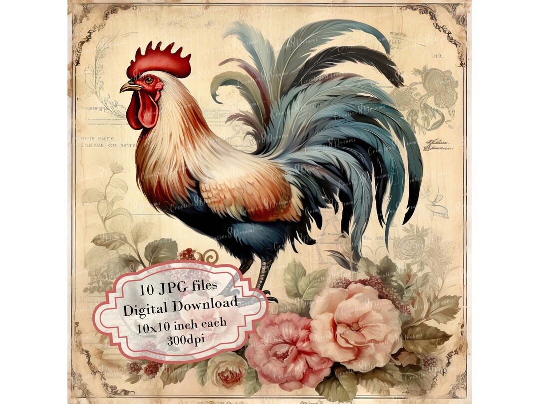 Shabby Chic Rooster Aged Paper Clipart Bundle- 10 High Quality ...
