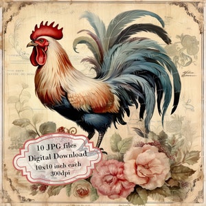 Pacchetto di clipart di carta invecchiata con gallo shabby chic - 10 JPG acquerellabili di alta qualità - Decoupage, journaling, scrapbooking, download digitale