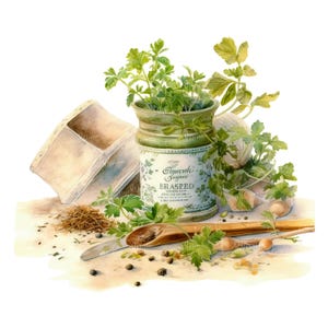 Herbes de cuisine rustiques PNG Clipart Bundle - téléchargement numérique image 10