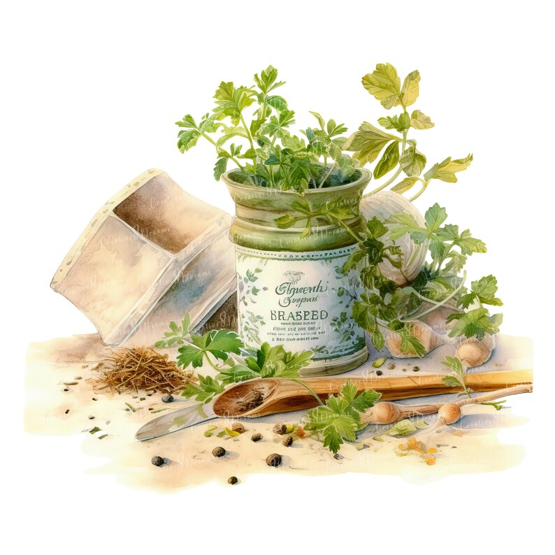 Herbes de cuisine rustiques PNG Clipart Bundle - téléchargement numérique image 10