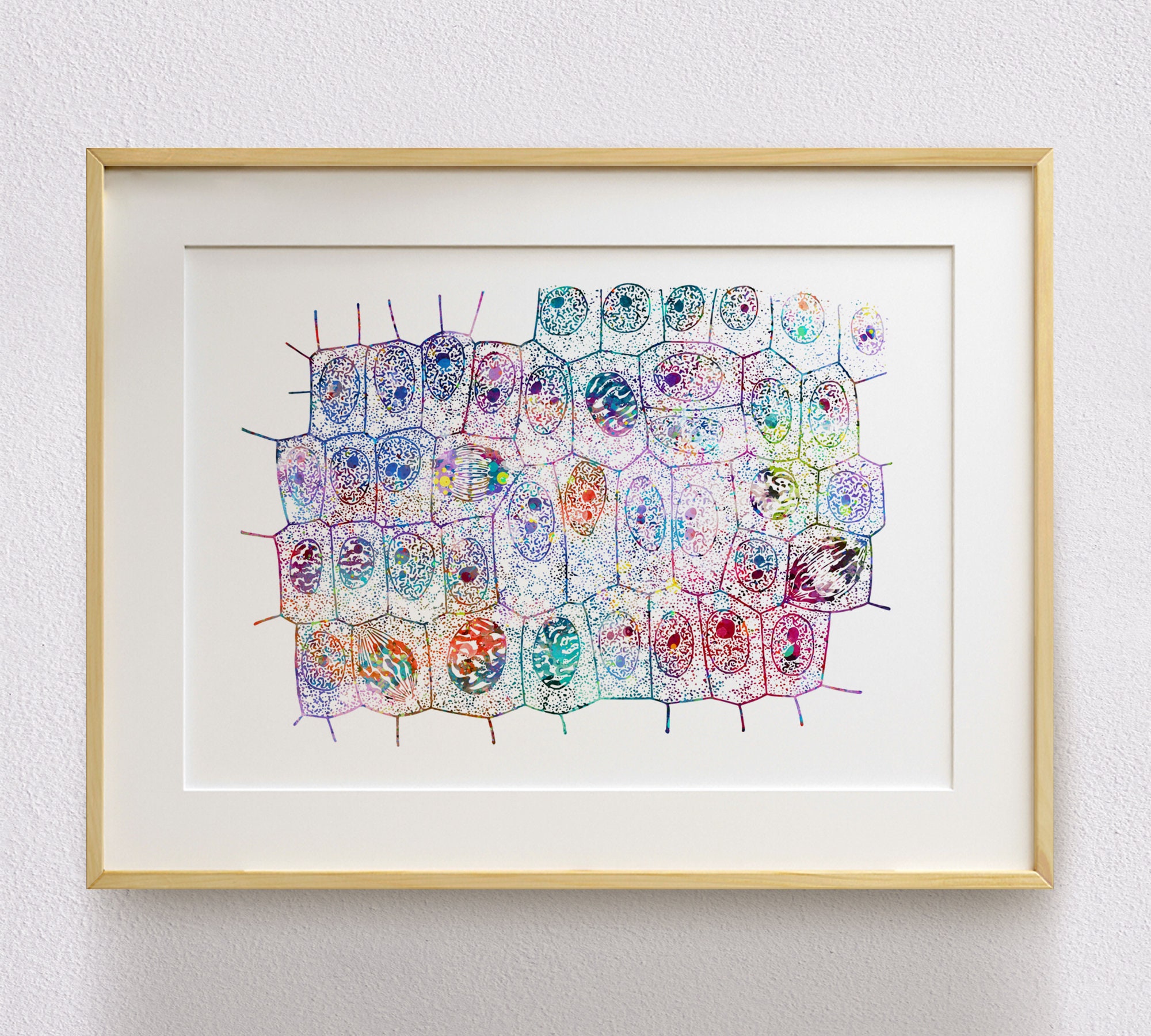 Molecular Compass for Cell Division Science Art Print on Paper Canvas Biology, Mitosis, Brain Development, Vintage, RNA, PhD Acrylic