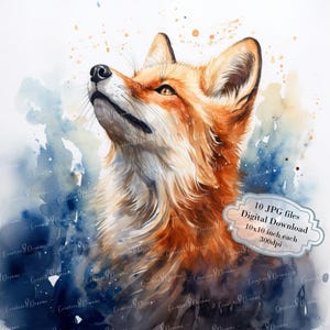 Petit renard regardant vers le haut Clipart Bundle - 10 JPG aquarelles de haute qualité - hiver, journalisation, fournitures de scrapbooking, téléchargement numérique