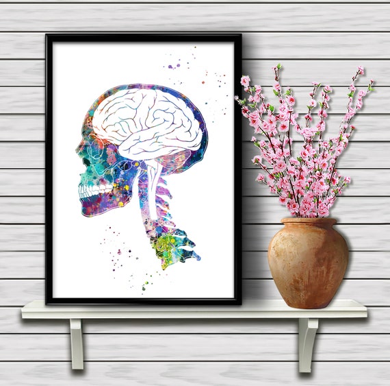 Human Brain Inside Skull Anatomy Spinal Cord Biology Science Watercolor Neurosurgical Home Decoration Medical Art Gift Print 13