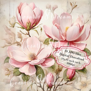 Paquete de imágenes prediseñadas de magnolias rosas con letras vintage de estilo shabby chic: 10 archivos JPG de acuarela de alta calidad. Material para diario, scrapbooking y descarga digital.