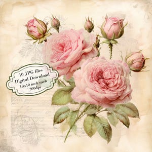 Paquete de imágenes prediseñadas de rosas rosadas sobre una carta vintage: 10 archivos JPG de acuarela de alta calidad. Material para manualidades, diarios, álbumes de recortes y descarga digital.