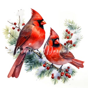 Rote Kardinäle auf schneebedeckten Kiefernzweigen Clipart Bundle - 10 hochwertige Aquarell JPGs - Winter, Journaling, Scrapbook Versorgung, digitaler Download