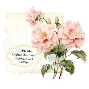 Pacote de clipart vintage em papel envelhecido com flores - 10 JPGs em aquarela de alta qualidade - Artesanato, diário de sucata, scrapbooking, download digital