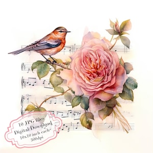 Paquete de imágenes prediseñadas de partituras musicales florales con pájaros cantores: 10 archivos JPG de acuarela de alta calidad. Manualidades, diarios, álbumes de recortes y descargas digitales.