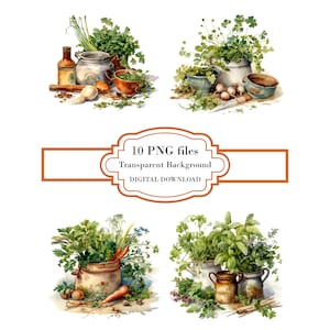 Herbes de cuisine rustiques PNG Clipart Bundle - téléchargement numérique image 1