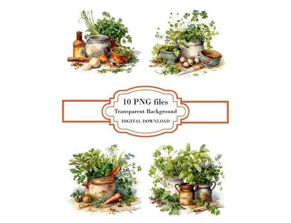 Rustic Cooking Herbs PNG Clipart Bundle- Digital Download