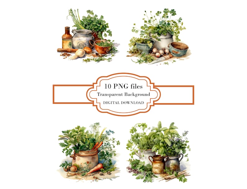 Herbes de cuisine rustiques PNG Clipart Bundle - téléchargement numérique image 1