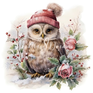 Hibou de Noël mignon en hiver neigeux Clipart Bundle-10 JPG aquarelles de haute qualité-création, journalisation, fourniture de scrapbooking, téléchargement numérique