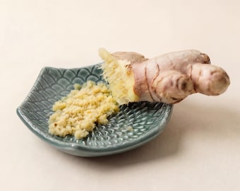 Ceramic Garlic Grater with Peeler & Brush - Sage