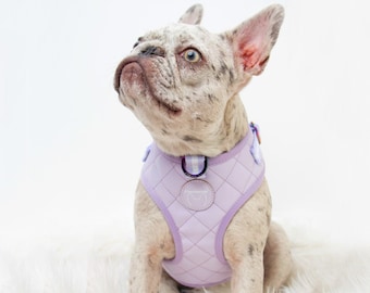 Frenchiestore Neck Adjustable Vegan Leather Health Harness | Lavender/ Lilac Varsity