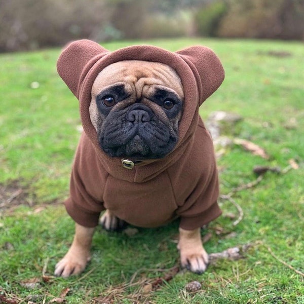 Frenchiestore Organic Dog Frenchie Ear Hoodie | Teddy Bear