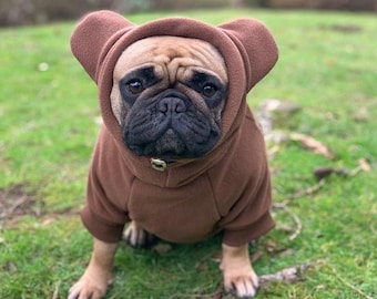 Felpa con cappuccio / orsacchiotto per cani Frenchiestore biologico Frenchiestore