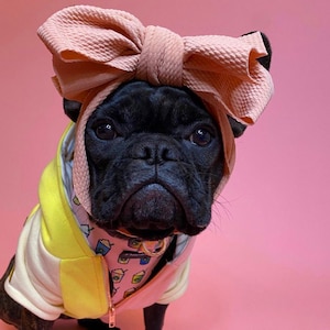 Frenchiestore Pet Head Bow | Tan