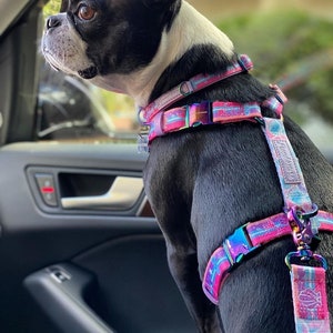Frenchiestore Adjustable Pet Health Harness | Mermazing
