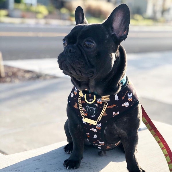 Frenchiestore Harnais réversible pour chien | Harry Pupper