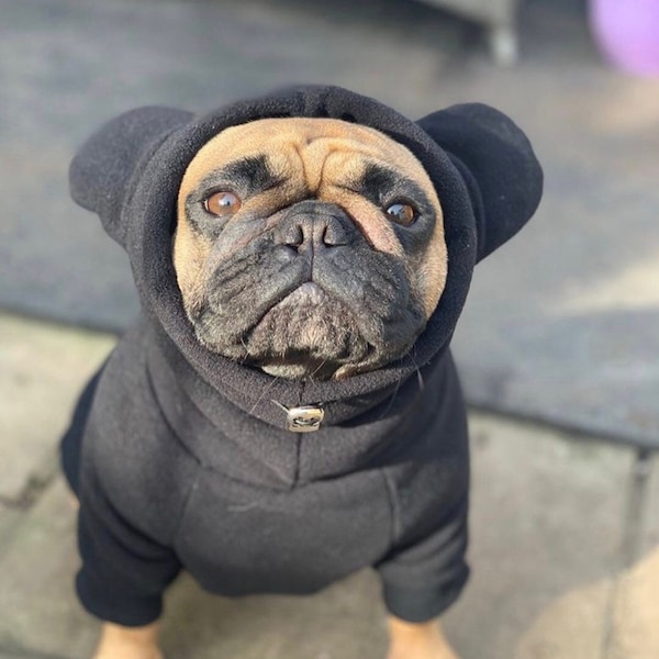 Frenchiestore biologische hond Frenchie oor hoodie | Zwarte Panter