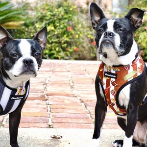 elma shop dog harness