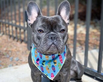 best dog cooling bandana