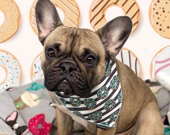 personalised pet accessories