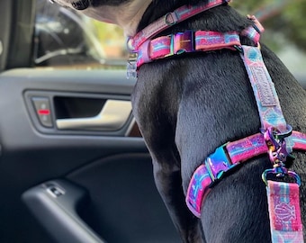 Frenchiestore Verstelbare Pet Health Harness | Verbijsterend